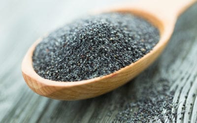 The 5 Most Important Reasons To Eat Chia Seeds RIGHT NOW