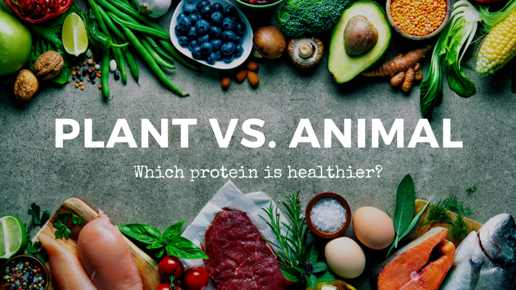 Animal Versus Plant Which Protein Is Healthier Not A Monk   1 1024x576 