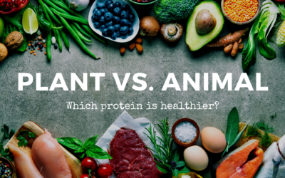 Animal Versus Plant – Which Protein is Healthier?